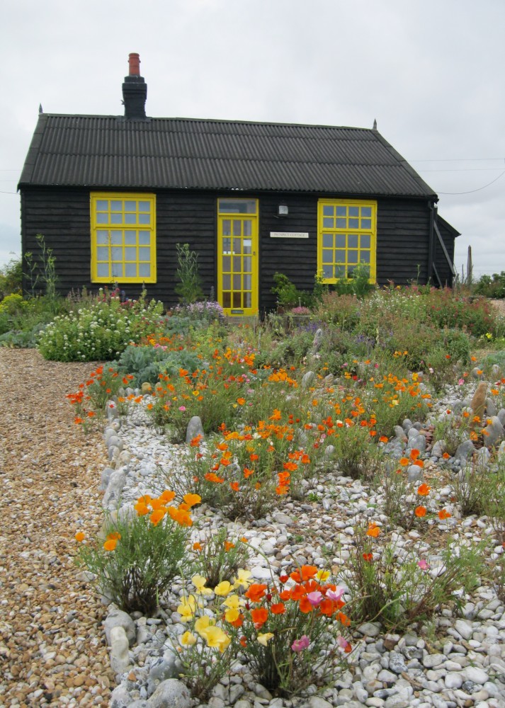 Prospect Cottage Dungeness Survival In A Hostile Environment