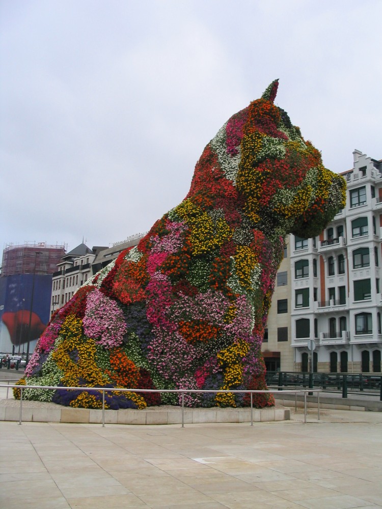 Jeff Koon's 'Giant Puppy' in Bilbao
