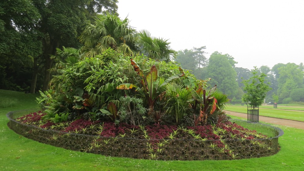 The Tropical Mound