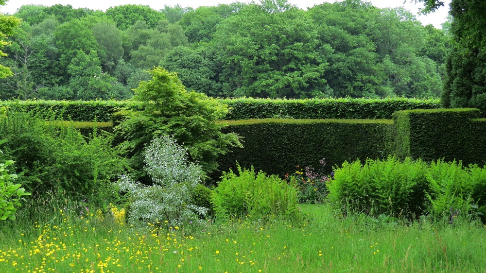 View over hedges