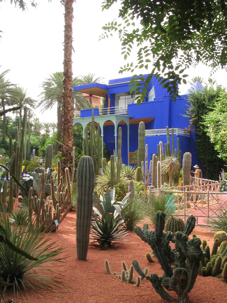 Cacti Garden and Studio