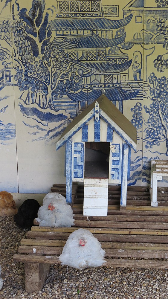  The Chicken Pavilion