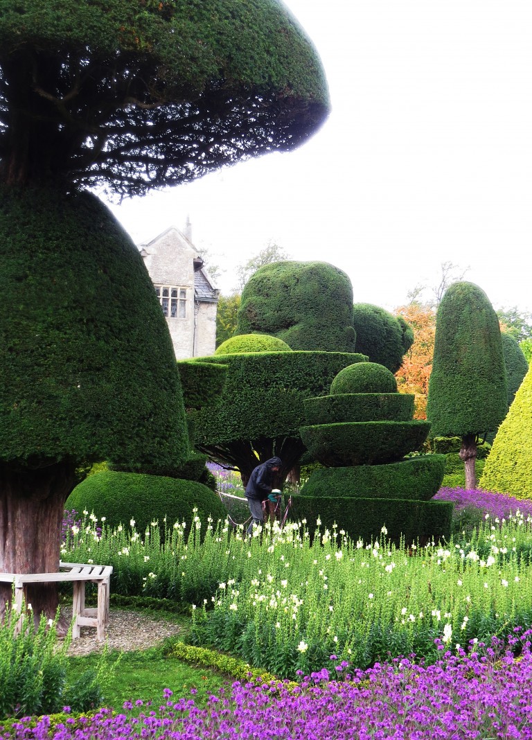 Levens Hall Continuity and Playfulness The Garden Visitor