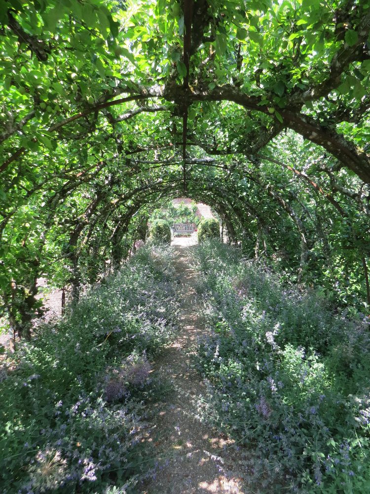 The Apple Tunnel