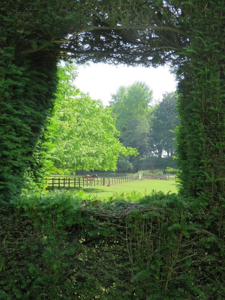 Borrowed View through the Yew Hedge