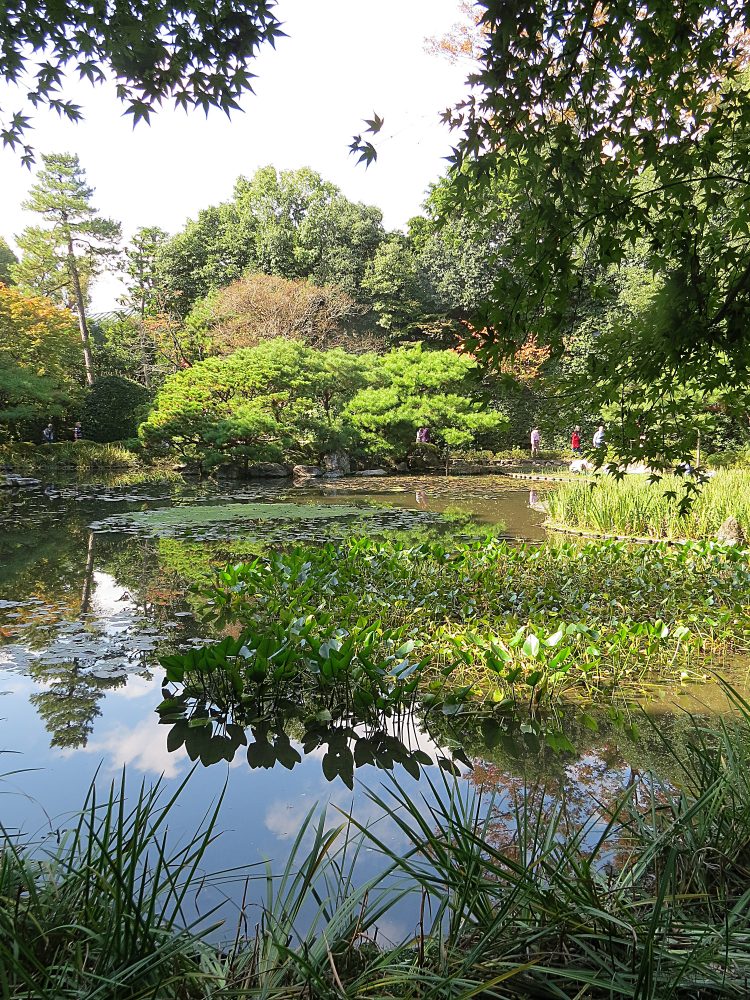Naka shin’en Garden - Pond