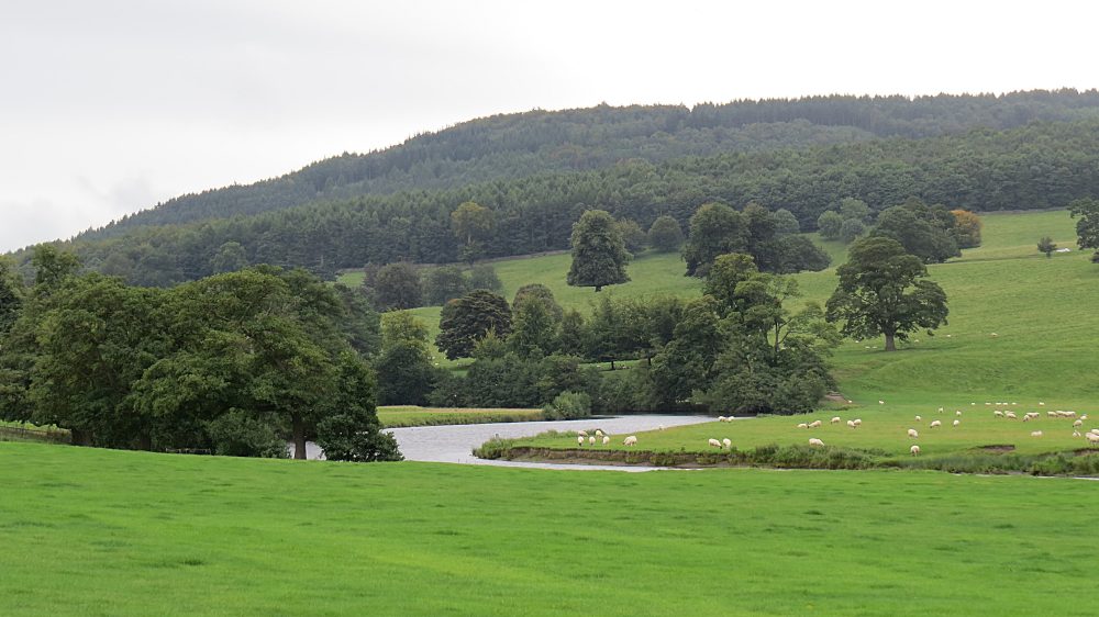 The Capability Brown Landscape