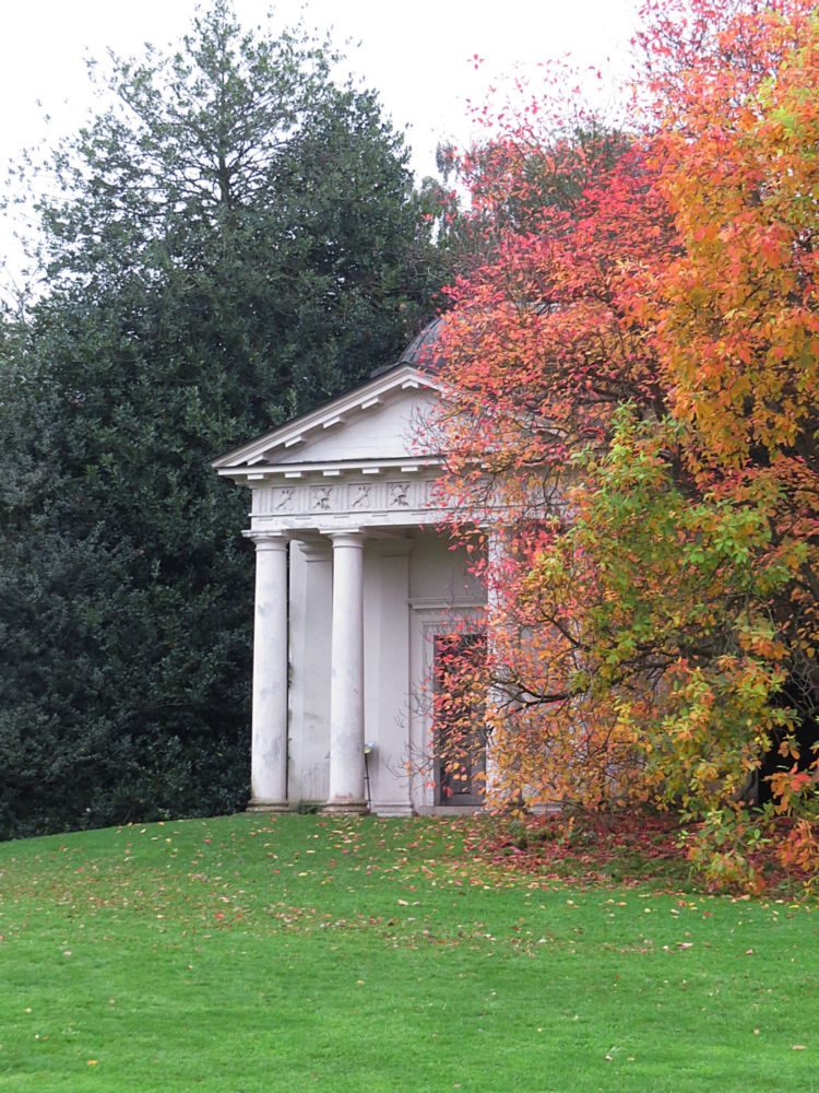 November – Autumn Colour and Berries in the Arboretum - Cherries, Acers, Pyrus, Sorbus and Liquidamber.