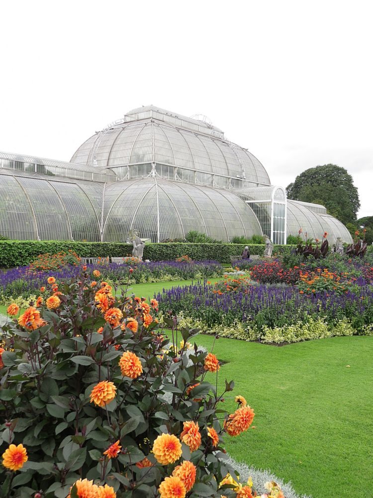 July – The Summer Bedding and also The Palm House 