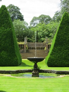 The Great Court – yew pyramids