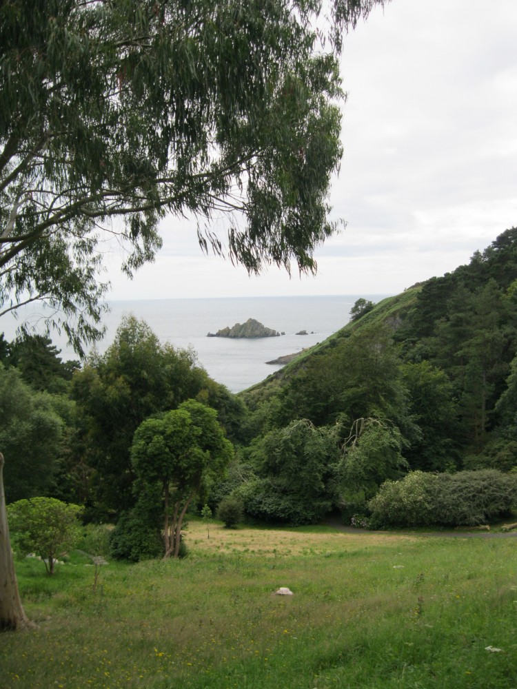The coastal view