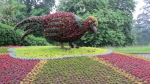Giant Carpet-bedded Bird