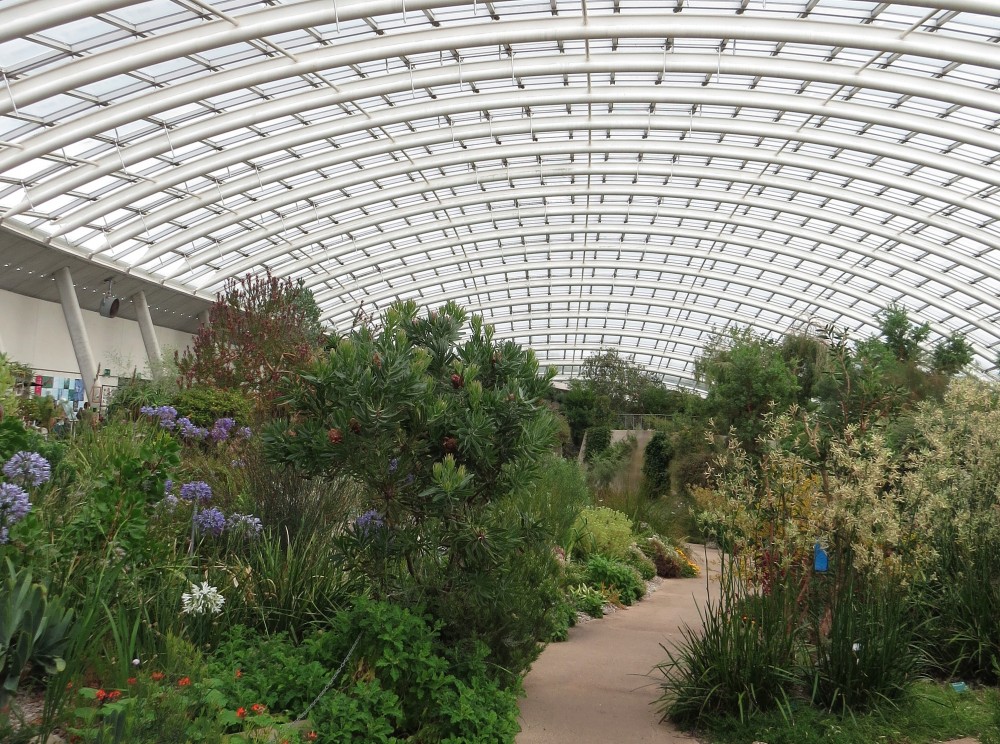 The Great Glasshouse