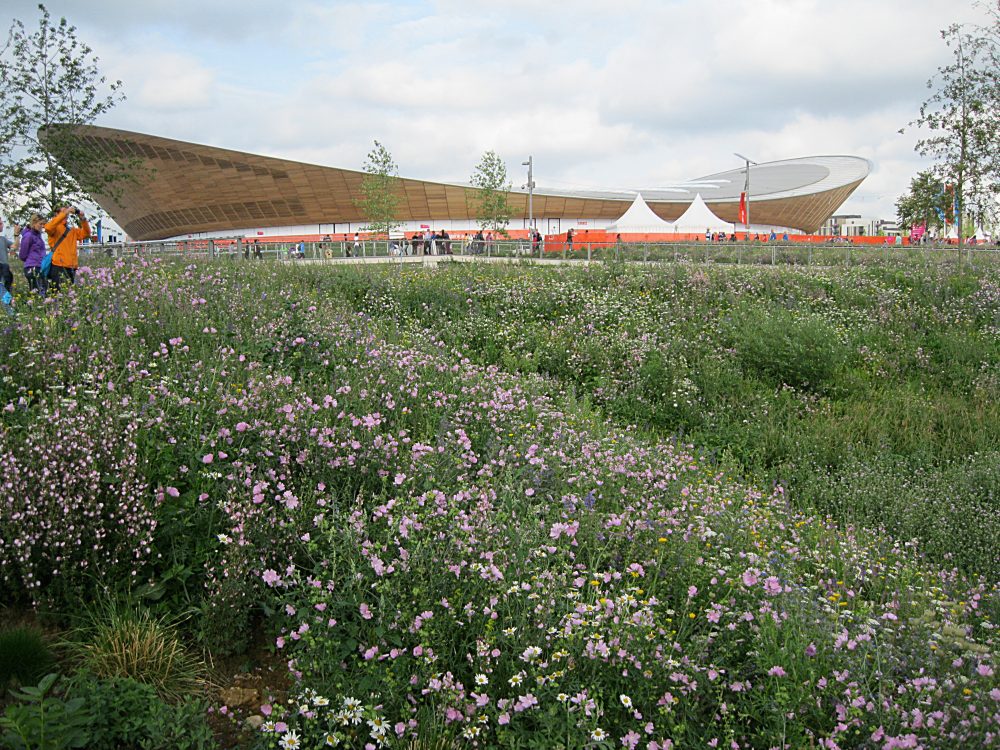 North Park Meadow and Velodrome in 2012