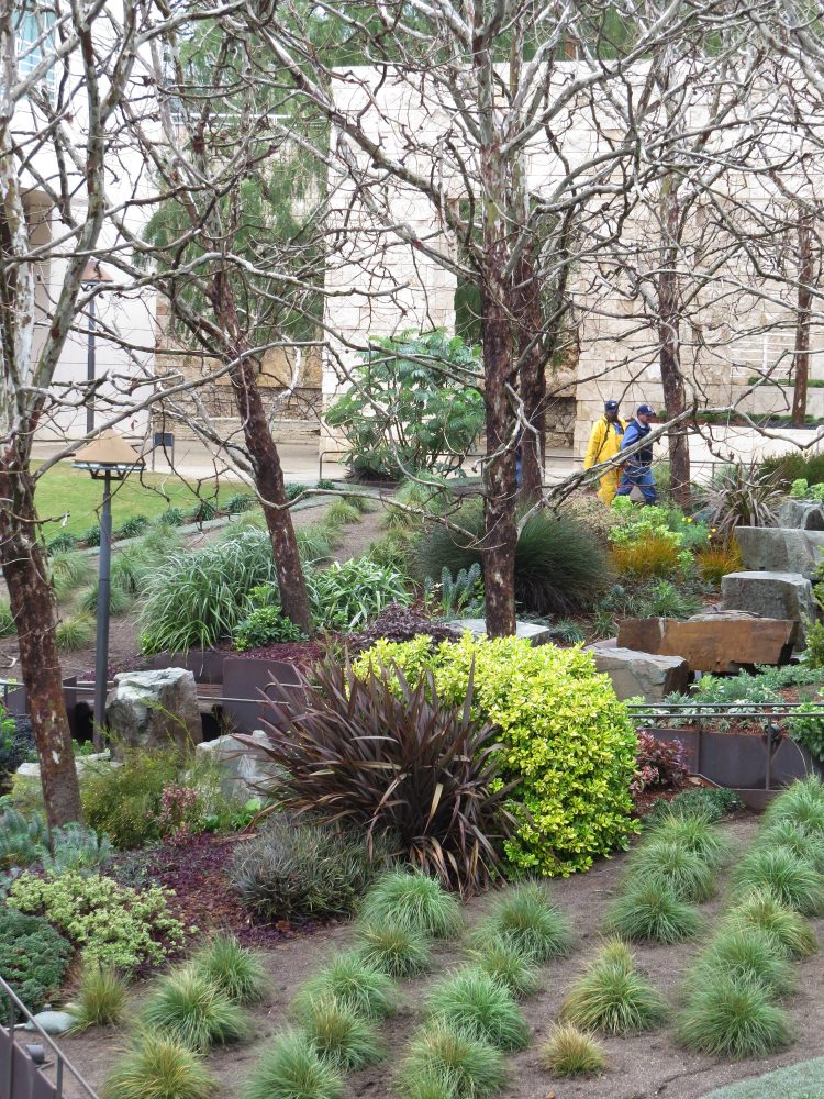 Planting to the Central Garden