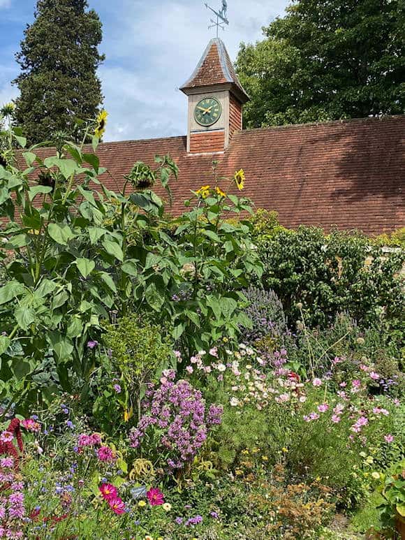 The Vegetable Garden