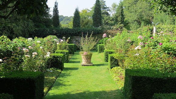 The Rose Garden