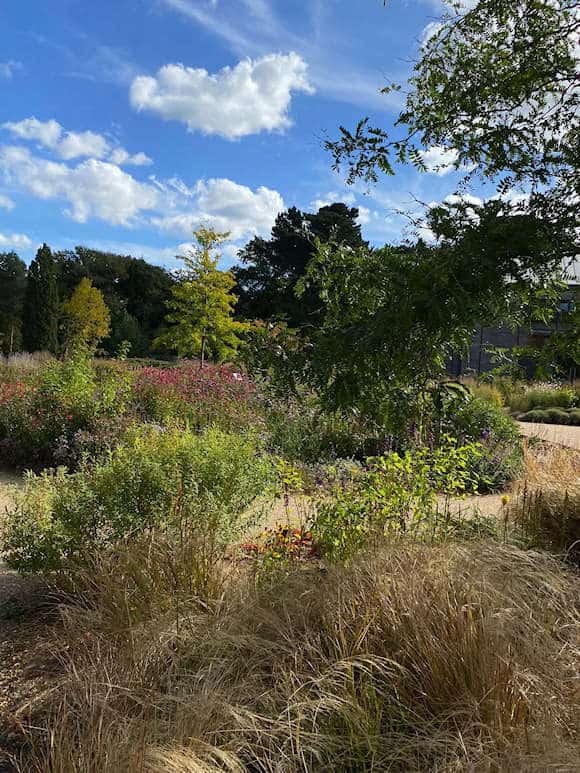 The Well-Being Garden