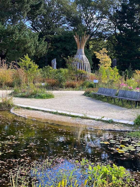 The Wildlife Garden