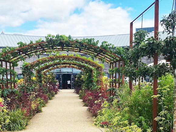 The World Food Garden – The Pergola