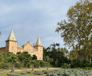 The House and Lavender Field