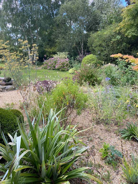 The Pebble Stream