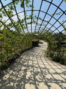The Caterpillar Frame to the Kitchen Garden