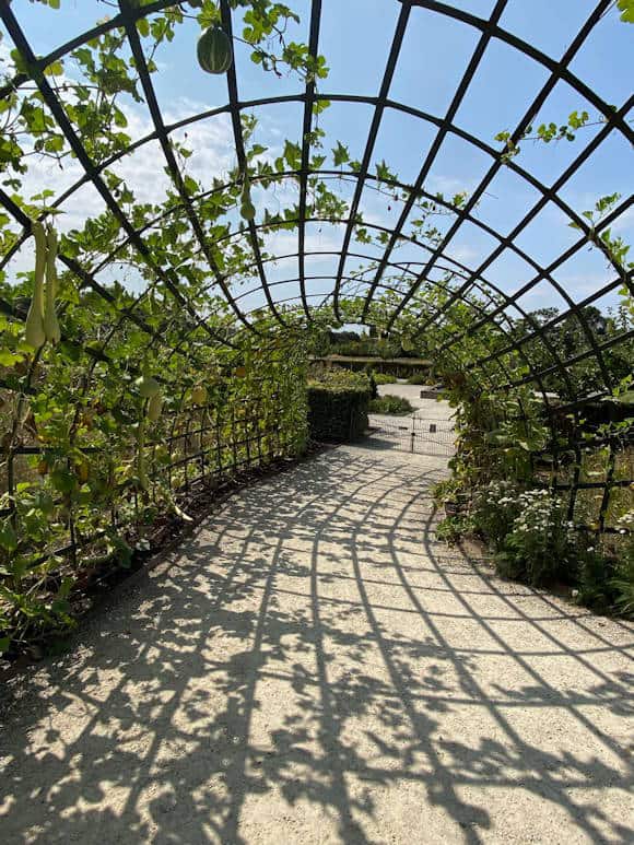 The Caterpillar Frame to the Kitchen Garden