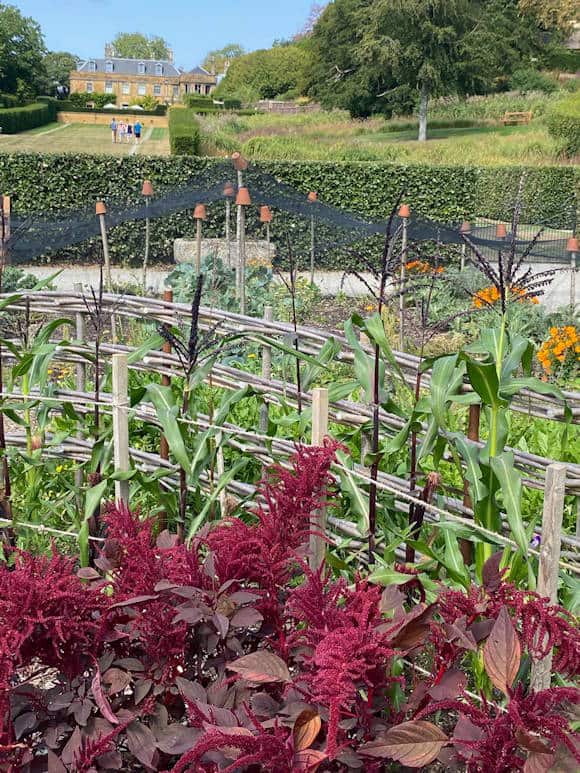 The Kitchen Garden