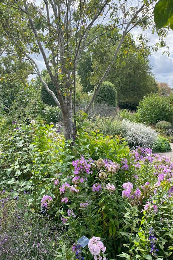 The Cottage Garden.