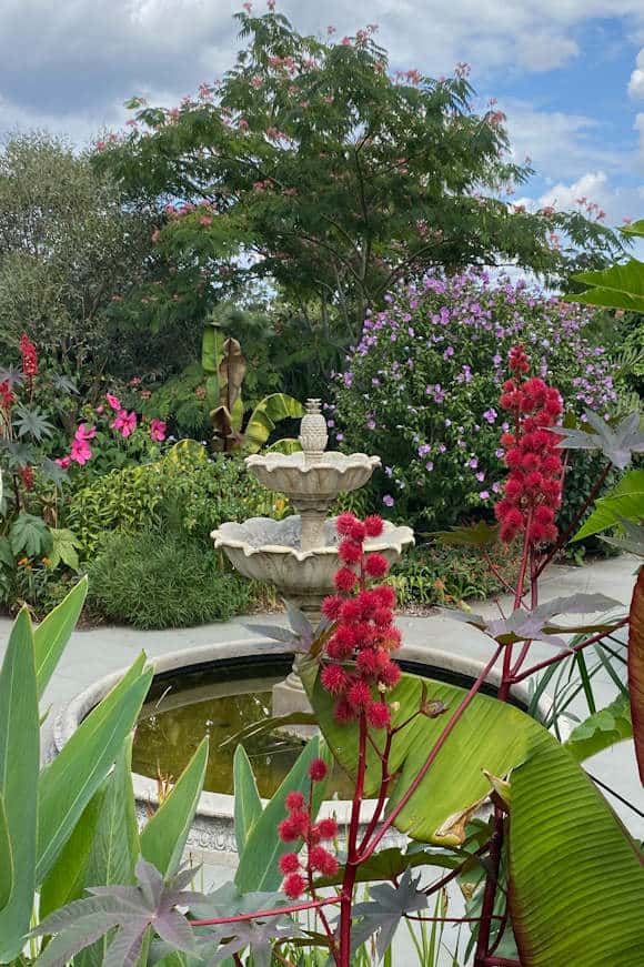 The Exotic Garden