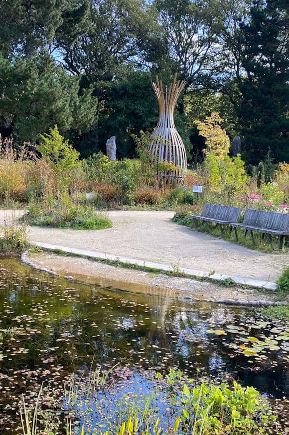 The Wildlife Garden.