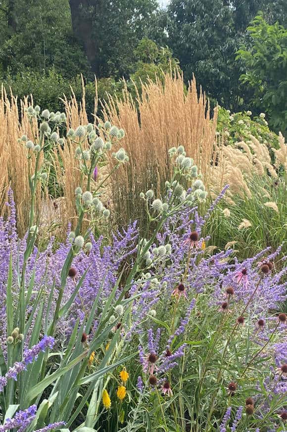 The Oudolf Landscape (see Wisley 1)