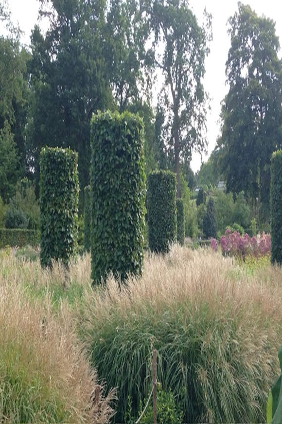 The Glasshouse Borders