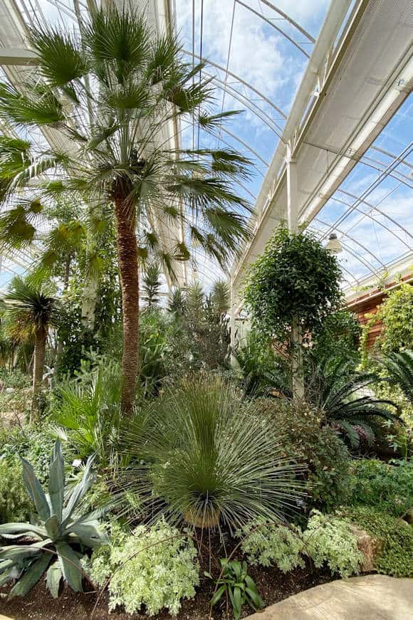 The Glasshouse.