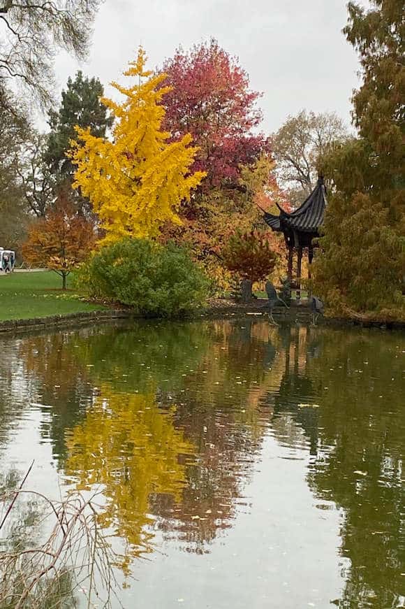 Autumn Colour.